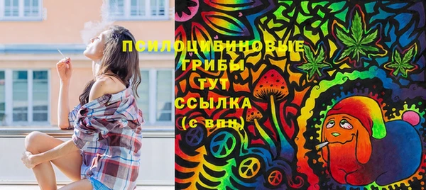 трава Горно-Алтайск