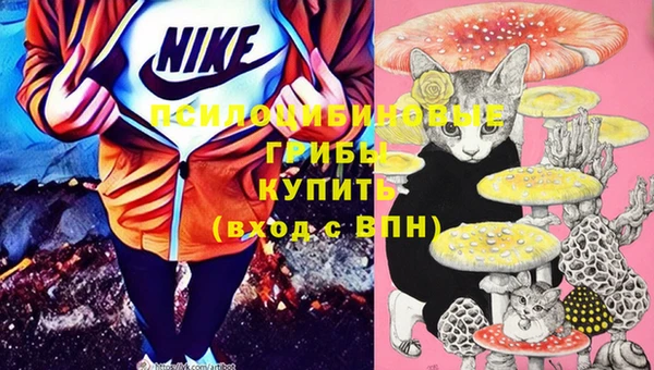 spice Горнозаводск